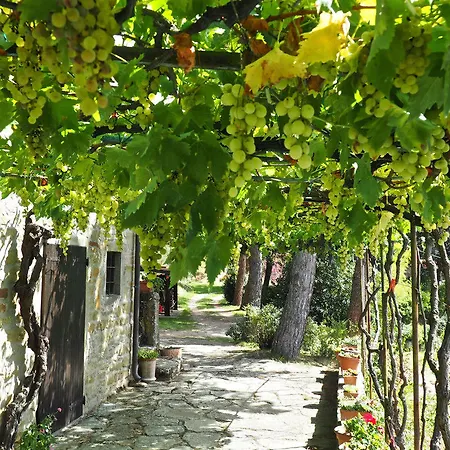 Appartement Casa Il Pergolato *